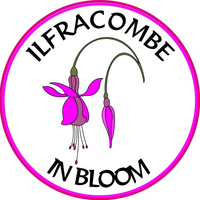 Ilfracombe In Bloom